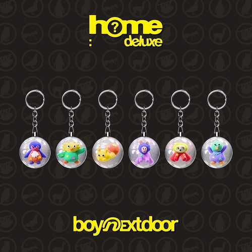 [세트] BOYNEXTDOOR (보이넥스트도어) - 1st Studio Album Repackage [HOME: DELUXE] (SAFARI ver.)
